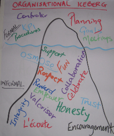 Organisational Iceberg